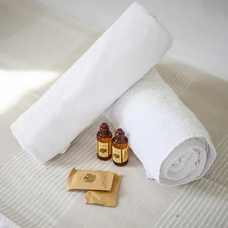 Apartmán Julia -calme Spacieux - Parking Prive - Clim *